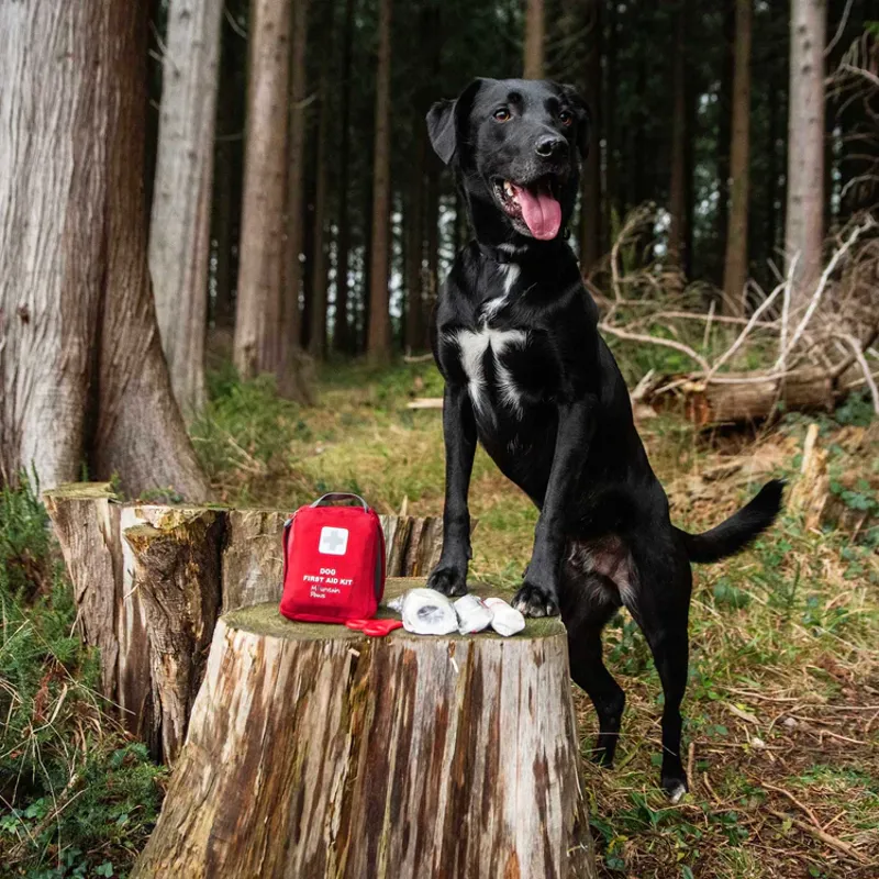 Mountain Paws Dog First Aid Kit-2