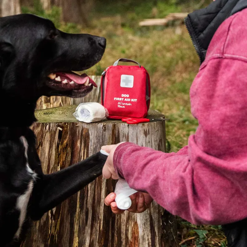 Mountain Paws Dog First Aid Kit-4