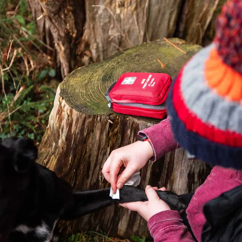 Mountain Paws Dog First Aid Kit-5