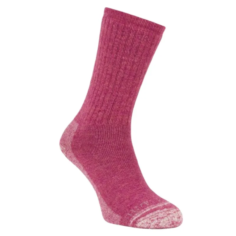 Silverpoint Alpaca Hiker Unisex Sock in Raspberry