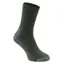 Silverpoint Alpaca Hiker Sock in Green